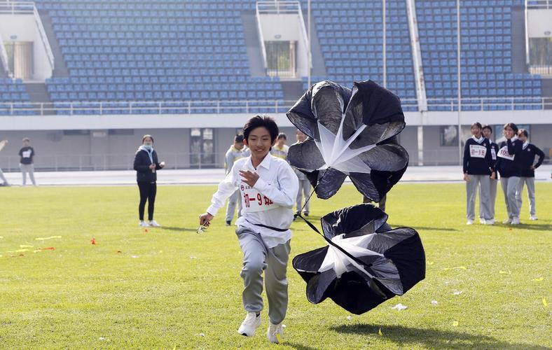 这项提议却