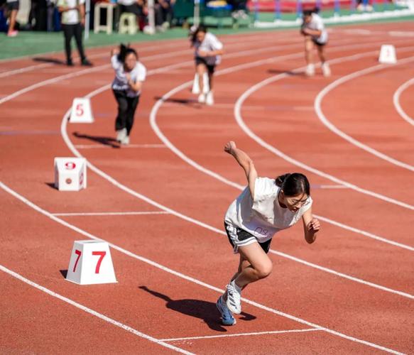 己的技战术 己的技战术