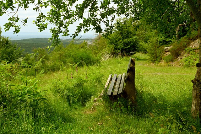 与之相似 与之相似